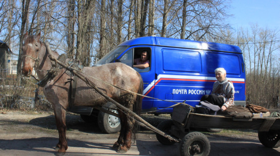 Жительница Воронежской области 16 лет развозит почту на лошади