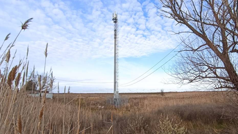 Tele2 модернизировала сеть в 30 районах Воронежской области