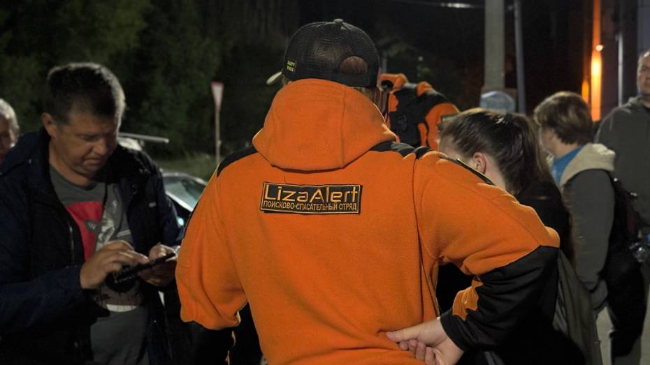 За неделю в Воронеже пропали 22 человека