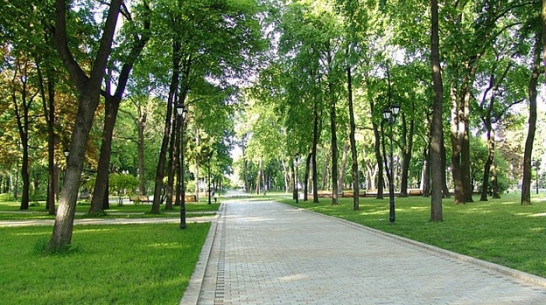 В Лискинском районе появится еще один парк