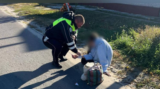 Воронежские полицейские спасли женщину, лежавшую без сознания на краю дороги