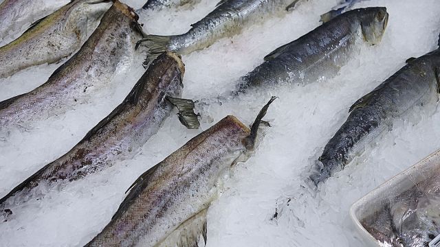 Воронежские санитарные врачи забраковали 16 партий рыбной продукции