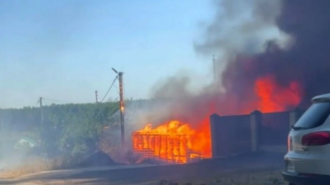 Пожар на Сосновой улице в Нововоронеже сняли на видео