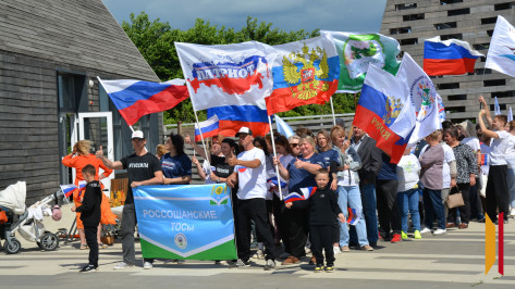 Объединились, чтобы созидать: за 10 лет россошанские общественники воплотили в жизнь больше 170 проектов по благоустройству