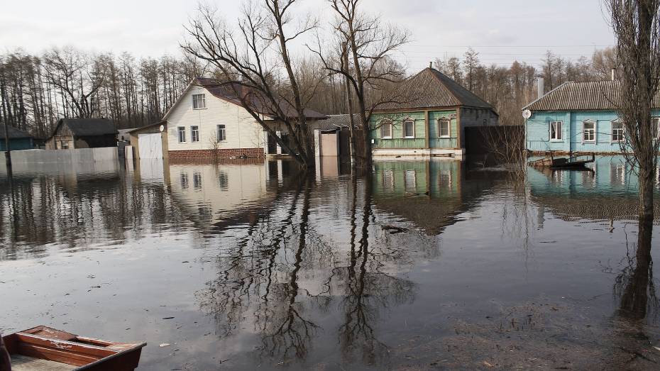 Воронежский губернатор: решили строить дом в зоне подтопления – будьте готовы к последствиям