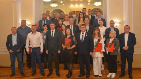 В Воронеже наградили лучших работников дорожной отрасли