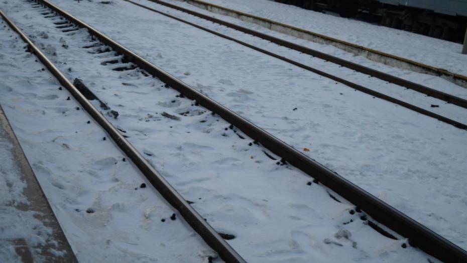На воронежской железной дороге с начала 2017 года погибли три человека