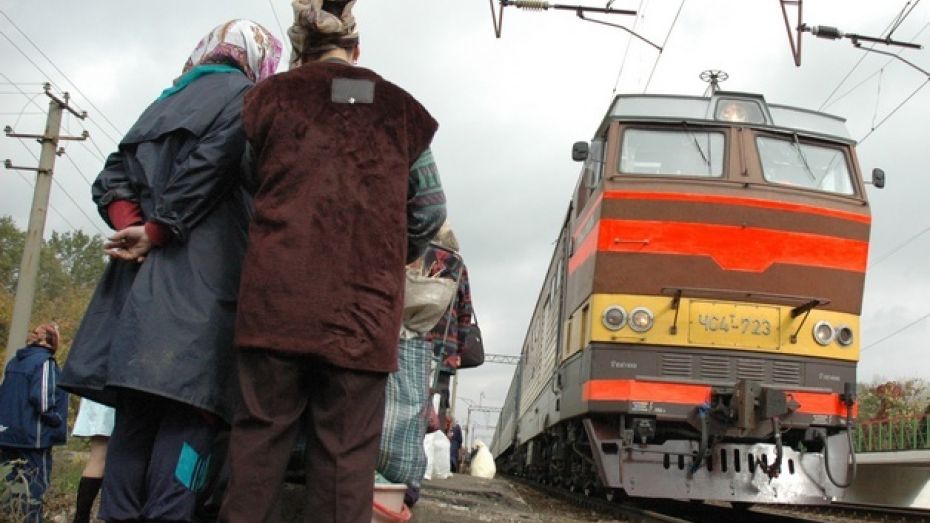 Во время праздников на железнодорожных путях в Воронежской области погибло два человека
