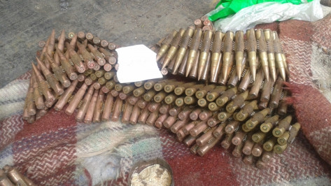 На операции «Арсенал» полиция изъяла у воронежцев 4,6 тыс боеприпасов