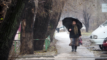 Вместо мокрого снега в Воронеже пойдет дождь