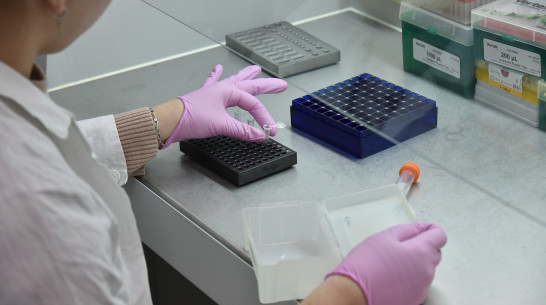 Болезнь Лайма выявили 50 раз в Воронежской области за июль