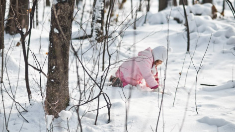 Первые зимние выходные в Воронеже будут снежными