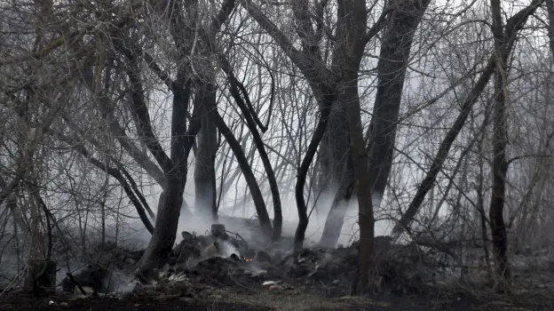 Пожар на площади в полгектара тушат в лесу воронежского микрорайона Боровое