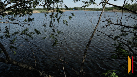 В Борисоглебске Воронежской области утонула 29-летняя женщина