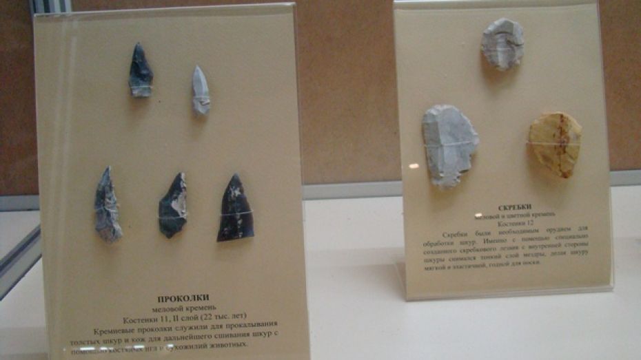 Экспонаты хохольского музея-заповедника «Костенки» выставлены в Курском археологическом музее