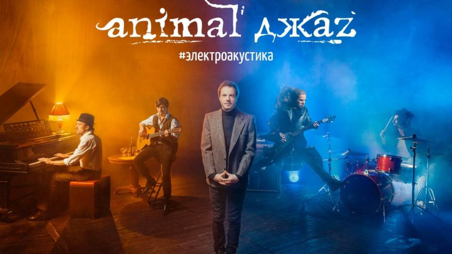 Группа Animal ДжаZ выступит в Воронеже 21 февраля