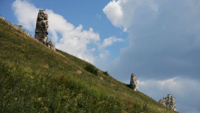 Воронежцы узнают о военных врачах в Дивногорье