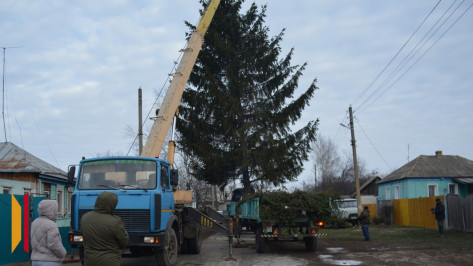 В Воробьевке главным символом новогоднего праздника стала 15-метровая ель из села Новотолучеево