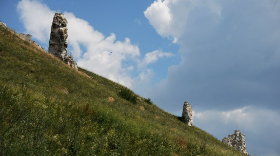Воронежцы узнают о военных врачах в Дивногорье