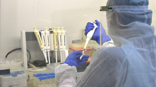 В Воронежской области выявили 184 новых случая COVID-19