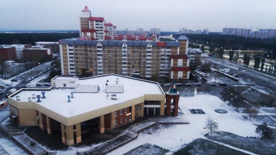 После первого снега на улицы Воронежа вышла спецтехника