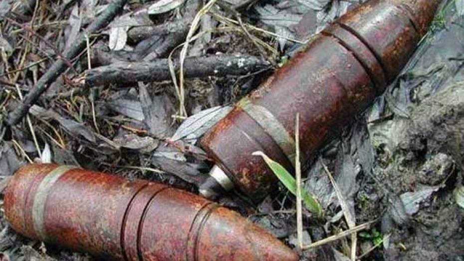 В Воронежской области уничтожили 72 снаряда и мины времен войны