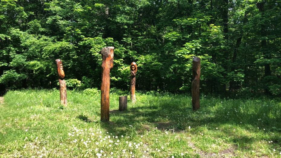 Вандалы уничтожили скульптуры на «Поляне предков» на Большой воронежской экотропе