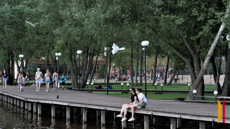 Итоги недели. Что важного произошло в Воронежской области с 19 по 25 мая