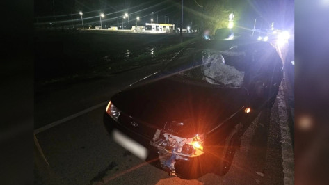 В Воронежской области 39-летний мужчина на ВАЗ насмерть сбил 74-летнего пешехода