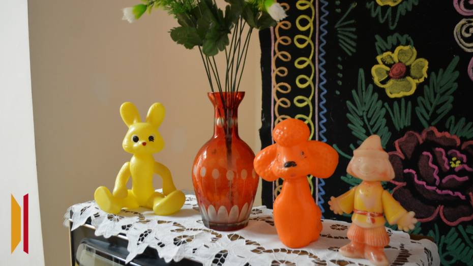 Воробьевцам предложили пополнить коллекцию предметов советской эпохи местного музея