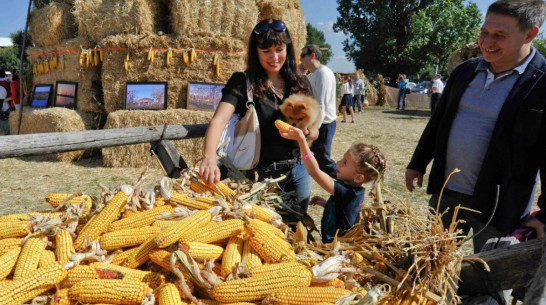 Губернатор и спикер облдумы поздравили воронежцев с Днем семьи, любви и верности