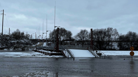 Лед сорвал наплавной мост возле Новоживотинного под Воронежем