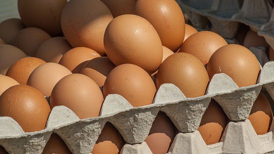 Воронежская область попала в тройку лидеров по производству яиц в ЦФО