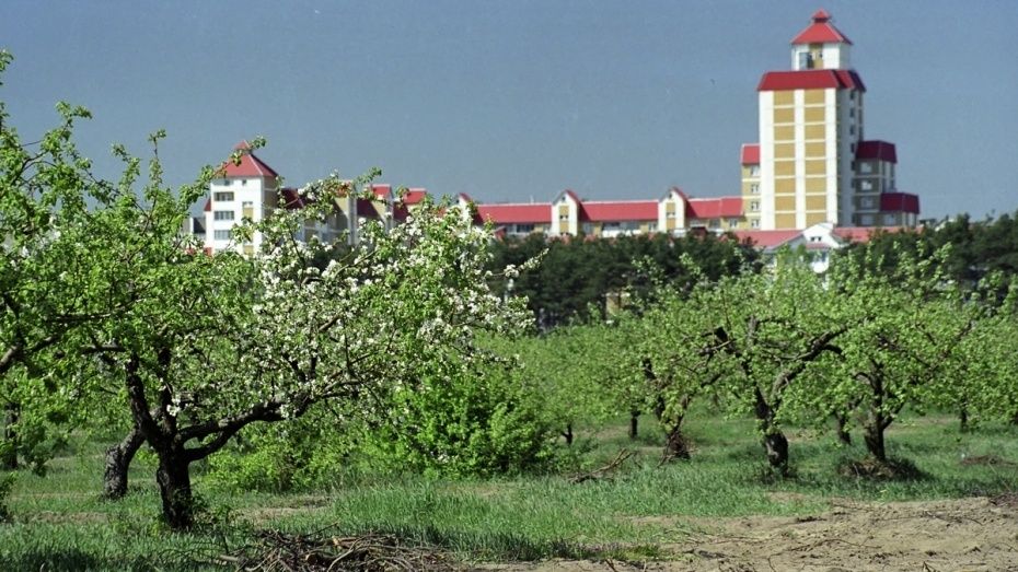 В Воронеже суд вернул в госсобственность еще один участок яблоневого сада 