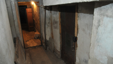 В Воронеже разоблачили фейк, что подвалы города не приспособлены под убежища
