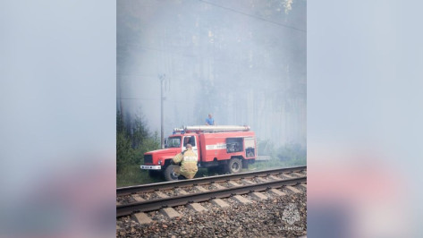 Спасатели вторые сутки тушат крупный пожар в Воронежском биосферном заповеднике