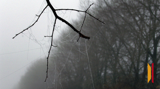 Воронежцев предупредили о тумане и сильном дожде