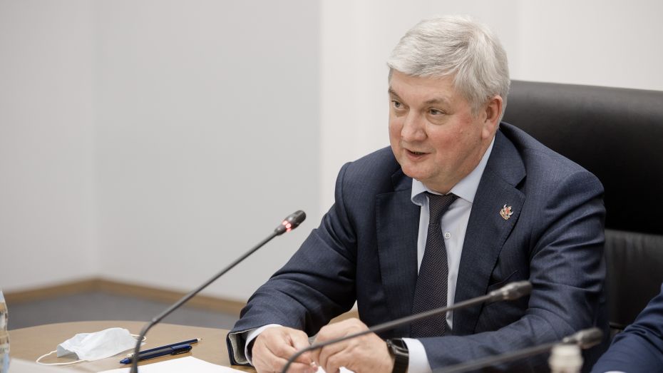 Губернатор Александр Гусев: расширим меры поддержки многодетных семей в Воронежской области