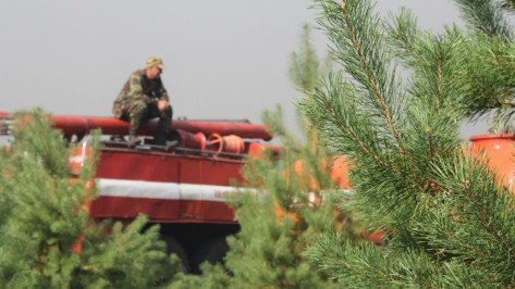 Спасатели объявили в Воронеже высокий класс пожароопасности