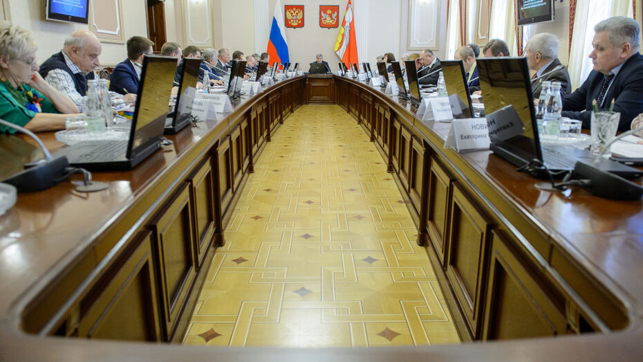 Губернатор поручил подготовить план финансирования НКО в Воронежской области