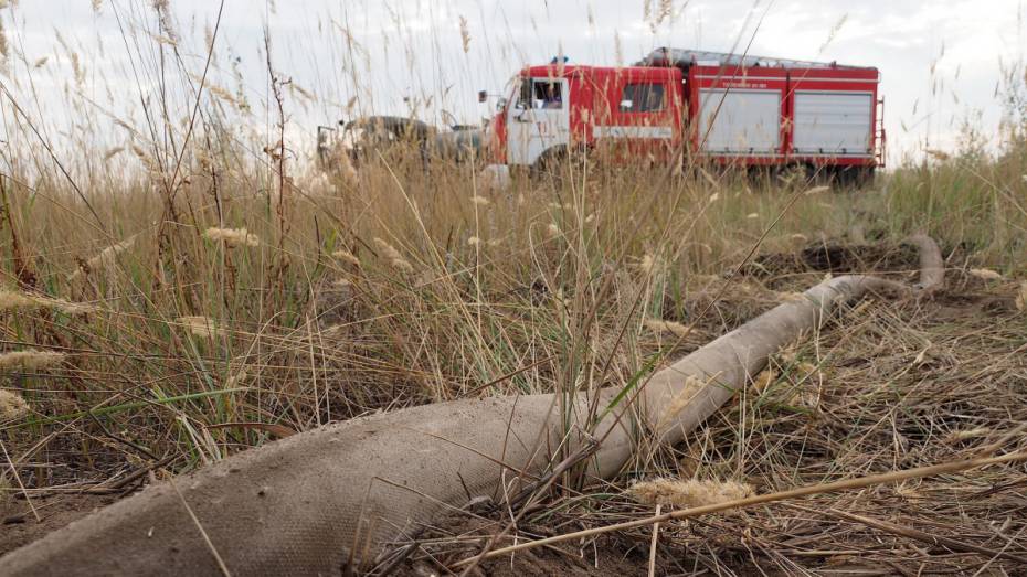 Чрезвычайная пожароопасность сохранилась в половине районов Воронежской области 