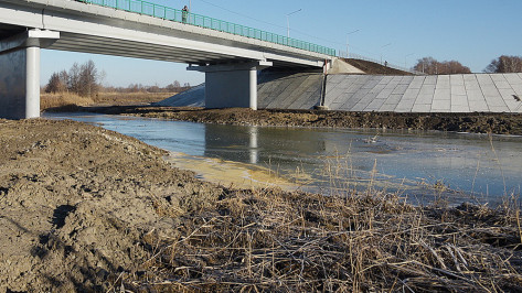 Власти начали искать подрядчика для расчистки реки Савала в Воронежской области