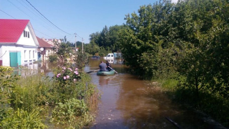 По 100 тыс рублей заплатят жильцам затопленных домов на левом берегу Воронежа