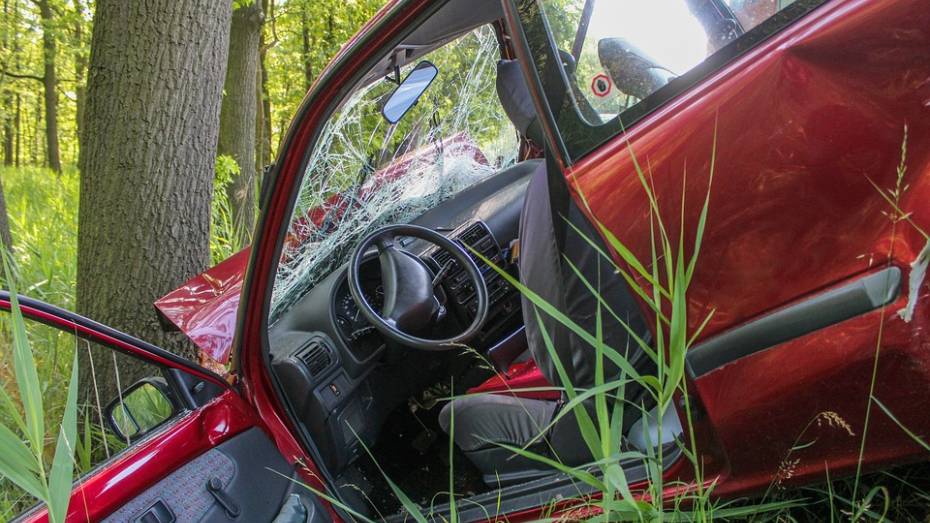 В Воронежской области Renault Logan врезался в дерево: водитель погиб