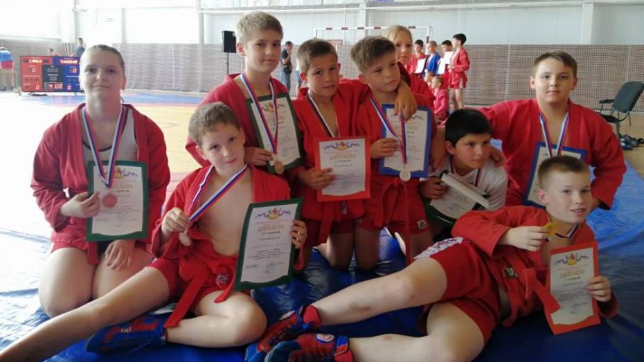 Таловские самбисты выиграли 8 золотых медалей на областном турнире