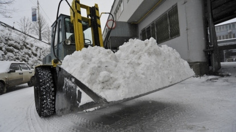 Полиция: в Воронеже руководство предприятия похитило 2 миллиона рублей, выделенных на уборку снега