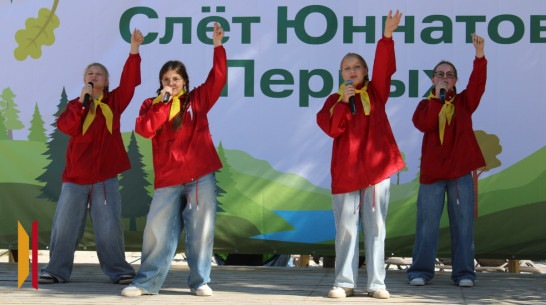 Региональный слет юннатов провели под Воронежем