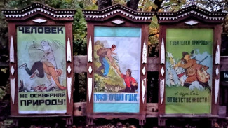 Грибановские общественники сделали стенды об охране природы из старинных наличников