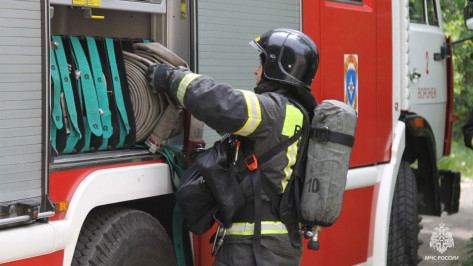 Пожарные машины съедутся к жилому комплексу в центре Воронежа 2 июля