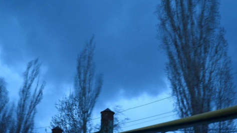 Гидрометцентр объявил в Воронежской области желтый уровень опасности из-за грозы 27 апреля